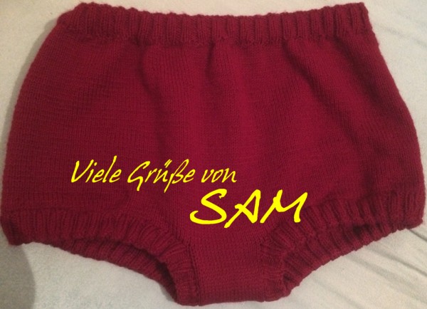 WS_bordeaux_SAM.jpg